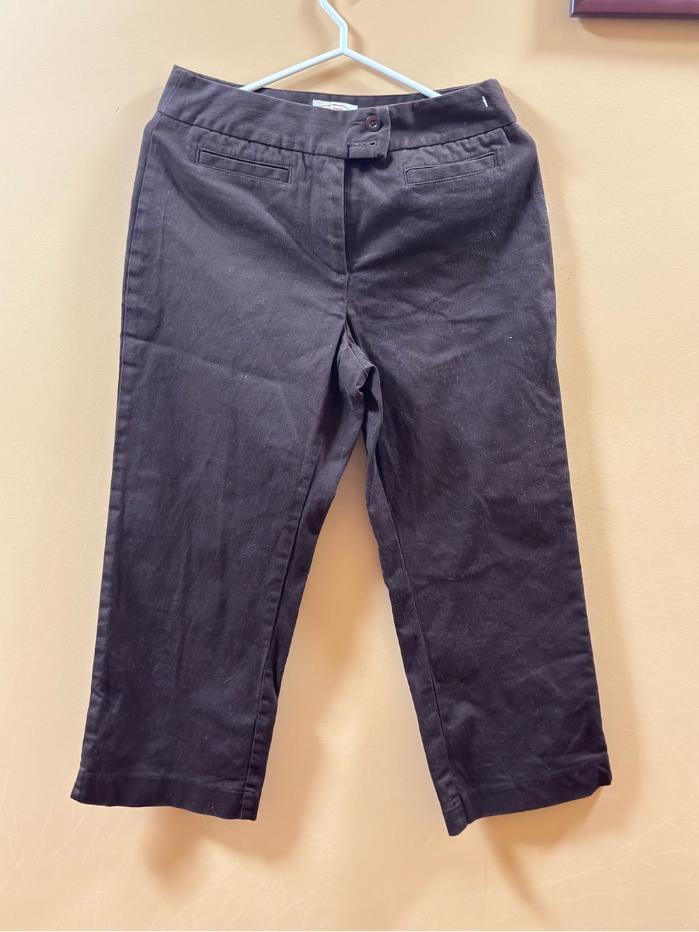 Northern Reflections Brown Casual Pants